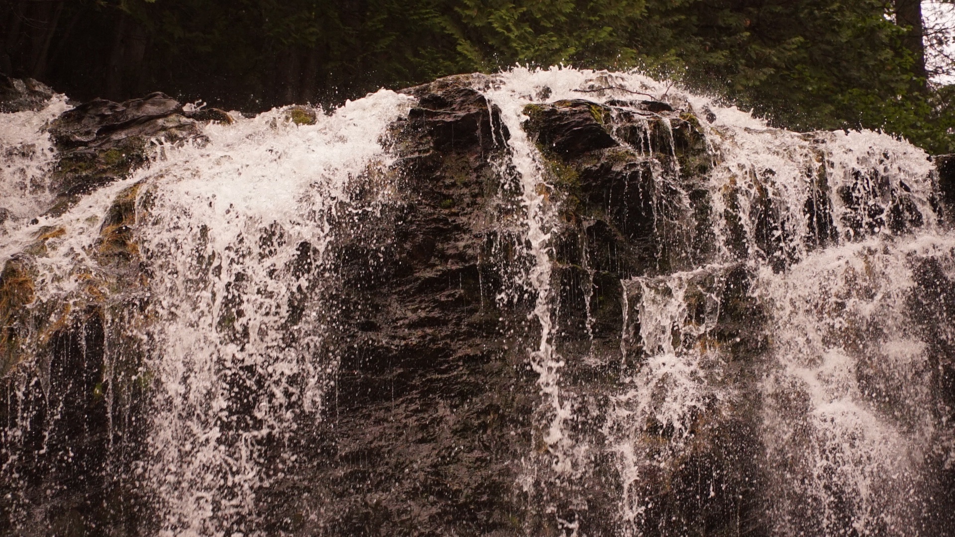 I HAVE FACED THE RAM